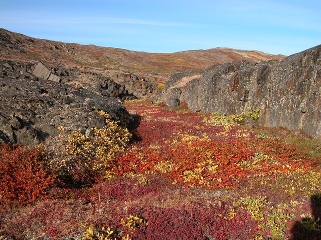 Efterårsfarver - Autumn colours - Nuugaatsiaq
