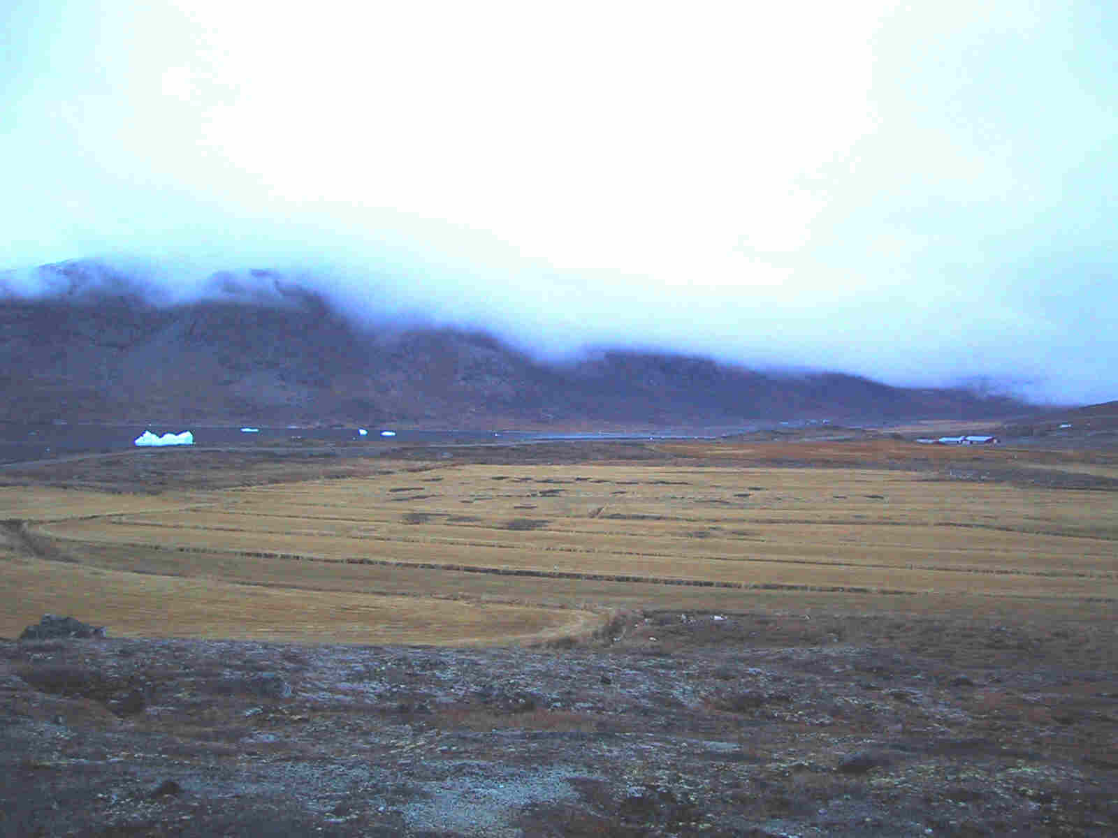 Marker ved Narsaq
