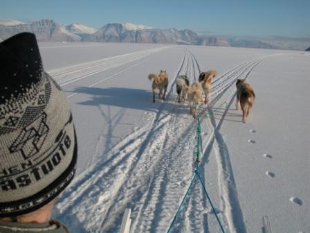 Hundespand på isen ved Uummannaq